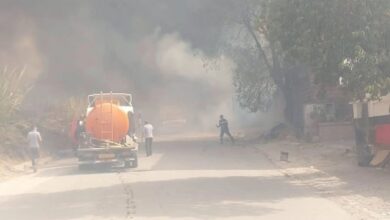 Πυρκαγιές-στην-Αλγερία:-12-νεκροί-και-δεκάδες-τραυματίες-στο-ανατολικό-τμήμα-της-χώρας
