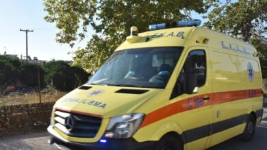 Φίδι-δάγκωσε-14χρονο-και-μωρό-18-μηνών-στον-Μαραθώνα,-μεταφέρθηκαν-στο-νοσοκομείο