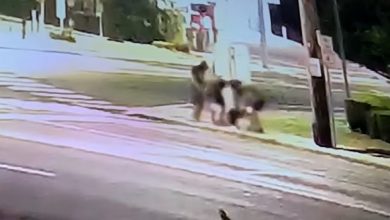 Νέο-μυστήριο-στη-Νέα-Υόρκη:-«Άνθρωποι-τυφλοπόντικες»-καταγράφηκαν-να-κατεβαίνουν-σε-φρεάτιο