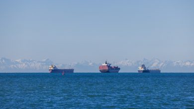 Μαύρη-Θάλασσα:-Η-ζώνη-πυρός-μετακινείται-δυτικά,-βυθίστηκε-εμπορικό-πλοίο-στην-ΑΟΖ-της-Ρουμανίας