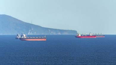 Μαύρη-Θάλασσα:-Σήμα-κινδύνου-για-τα-πλοία-σε-Νοβοροσίσκ-και-Οδησσό