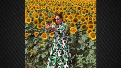 Η-Όλγα-Κεφαλογιάννη-ανέβασε-στο-instagram-της-φωτογραφία-της-με-ηλιοτρόπια