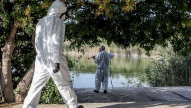 Γιατί-ο-ιός-του-Δυτικού-Νείλου-«χτυπά»-φέτος-την-Αττική,-ειδικά-τα-ανατολικά