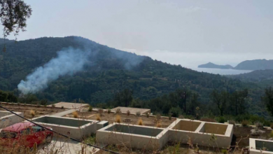 Χωρίς-ενεργό-μέτωπο-η-φωτιά-σε-δάσος-στον-Άγιο-Γεώργιο-Κέρκυρας