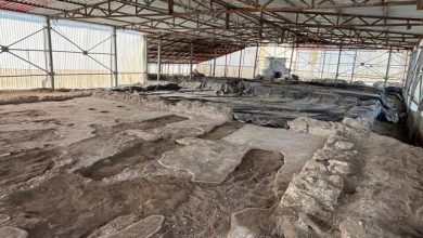 Φλώρινα:-Προστασία-με-κλειστό-κέλυφος-για-τη-ρωμαίική-έπαυλη-και-νέo-μουσείο-στο-Αμύνταιο