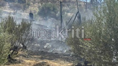 Οριοθετήθηκε-η-φωτιά-στην-Πλώρα-του-Ηρακλείου