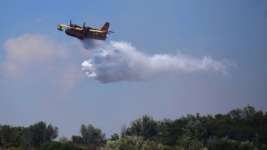 Οριοθετήθηκε-η-πυρκαγιά-στο-Καλοχώρι-Χαλκίδας