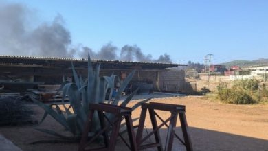 Φωτιά-στην-περιοχή-Ξηροπήγαδο-στη-Μάνδρα:-Εστάλη-μήνυμα-από-το-112-για-τους-πυκνούς-καπνούς