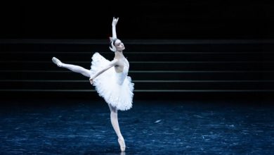 gala-ballet-des-etoiles-de-l’opera-de-paris