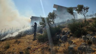 Χωρίς-ενεργό-μέτωπο-η-φωτιά-στην-Ανάβυσσο,-ξεκίνησε-από-ΙΧ-και-επεκτάθηκε-σε-χαμηλή-βλάστηση
