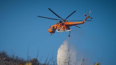 Οριοθετήθηκε-η-φωτιά-σε-δάσος-στο-Γομάτι-Χαλκιδικής