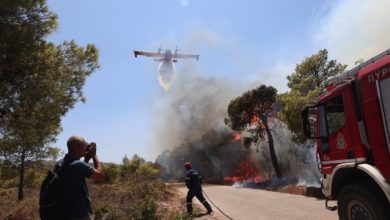 Φωτιά-στον-Νέο-Κουβαρά-Αττικής,-κινητοποιήθηκαν-και-εναέρια-μέσα
