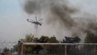 Φωτιά-στο-Κάτω-Σαμικό-Ηλείας,-καίει-ξερά-χόρτα