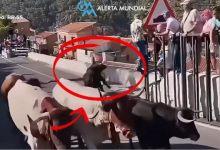 Ταύρος-σκότωσε-64χρονη-σε-φεστιβάλ-στην-Ισπανία,-βίντεο-από-την-στιγμή-της-επίθεσης