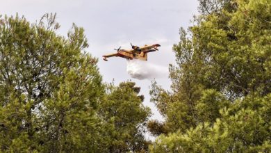 Φωτιά-στην-Σκιλλουντία-Ηλείας,-σηκώθηκαν-6-αεροσκάφη