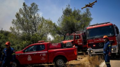 Χωρίς-ενεργό-μέτωπο-η-φωτιά-σε-δασική-έκταση-στο-Ελαιοχώρι-Καβάλας,-εστάλη-112-για-ενημέρωση