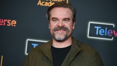 Ο-Ντέιβιντ-Χάρμπορ-κέρδισε-το-πρώτο-του-emmy-για-το-«dtf-st.-louis»