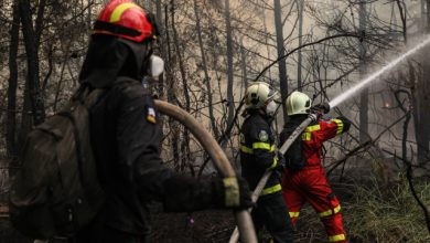 Χωρίς-ενεργό-μέτωπο-η-πυρκαγιά-στη-Μακρυκάπα-Ευβοίας