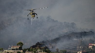 Φωτιά-στη-Νέο-Ρύσιο-στη-Θεσσαλονίκη,-σηκώθηκε-1-ελικόπτερο