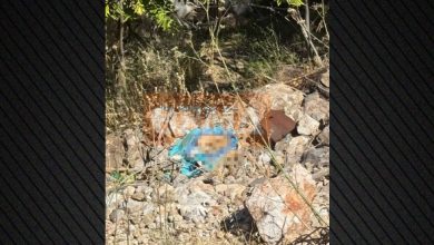 Ένα-άστοχο-σουτ-αποκάλυψε-τα-ανθρώπινα-οστά-στην-Κυψέλη,-τι-λέει-ο-άνθρωπος-που-τα-εντόπισε