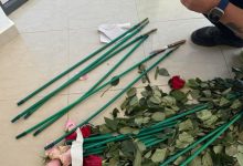Εξι-συλλήψεις-για-τα-84-κιλά-κοκαϊνης-που-ήταν-κρυμμένα-σε-ψεύτικα-τριαντάφυλλα
