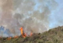 Υπό-έλεγχο-είναι-η-φωτιά-στη-Βελίνα-Κορινθίας