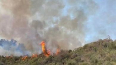 Υπό-έλεγχο-είναι-η-φωτιά-στη-Βελίνα-Κορινθίας