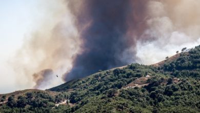 Φωτιά-στην-Πλατανιά-Παρανεστίου-στη-Δράμα,-επιχειρούν-4-εναέρια