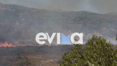Οριοθετήθηκε-η-φωτιά-σε-δασική-έκταση-στην-Εύβοια