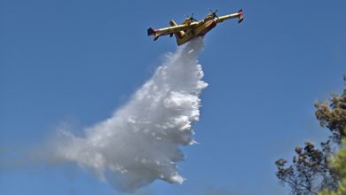 Φωτιά-σε-δασική-έκταση-στη-Φούρκα-Κόνιτσας,-επιχειρούν-3-εναέρια-μέσα