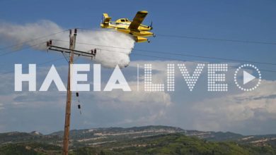Φωτιά-αγροτοδασική-έκταση-στο-Χειμαδιό-Ηλείας,-σηκώθηκαν-3-αεροσκάφη
