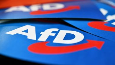 Η-afd-διευρύνει-το-προβάδισμά-της-έναντι-των-συντηρητικών-του-Μερτς-σε-πανεθνική-δημοσκόπηση
