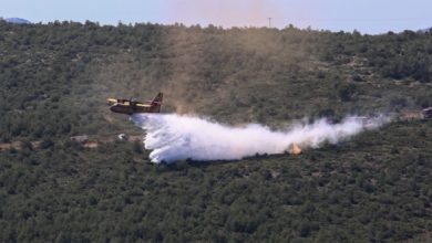 Φωτιά-τώρα-σε-αγροτοδασική-έκταση-στην-Πελασγία-Φθιώτιδας,-5-εναέρια