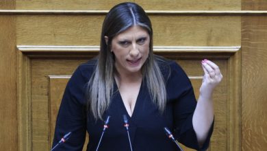 Ζωή-Κωνσταντοπούλου-κατά-ΠΑΣΟΚ:-Μπράβο-σας-κ.-Ανδρουλάκη-για-τη-χείρα-βοηθείας-στη-ΝΔ