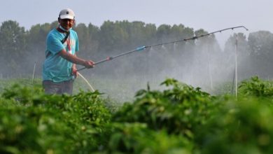 ΑΑΔΕ:-Ενίσχυση-14,6-εκατ-ευρώ-σε-34.200-δικαιούχους-για-το-κόστος-των-λιπασμάτων