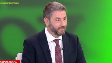 Ανδρουλάκης:-Βασικός-αντίπαλός-μας-η-κυβέρνηση,-ο-Τσίπρας-κρίθηκε,-ανήκει-στο-χθες