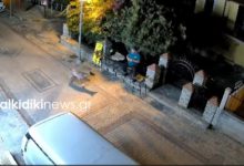 Λύκος-μπήκε-στη-Νικήτη-Χαλκιδικής-και-πλησίασε-άνδρα-που-καθόταν-έξω-από-κατάστημα,-δείτε-βίντεο