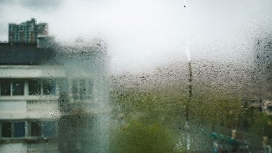 Υγρασία-στο-σπίτι;-Τι-συσκευή-θα-σε-“σώσει”-το-φθινόπωρο