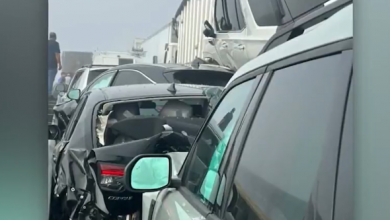 Καραμπόλα-με-πάνω-από-50-οχήματα-λόγω-ομίχλης-σε-γέφυρα-στη-Νότια-Καρολίνα,-δείτε-βίντεο