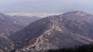 Η-Αλγερία-επεκτείνει-τη-θανατική-ποινή-σε-εμπρηστές-δασών