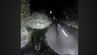 Αρκούδα-πετάγεται-στη-μέση-του-δρόμου-και-ορμάει-πάνω-σε-αυτοκίνητο-στην-Ιαπωνία,-δείτε-βίντεο