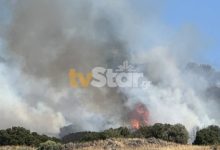 Υπό-μερικό-έλεγχο-η-φωτιά-στη-Λαμία,-παραμένουν-δυνάμεις-της-πυροσβεστικής-στην-περιοχή