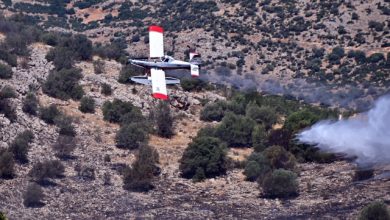 Φωτιά-σε-αγροτοδασική-έκταση-στη-Βοσκίνα-Κυνουρίας
