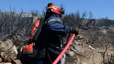 Φωτιά-σε-χαμηλή-βλάστηση-στην-Άντισσα-Λέσβου