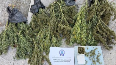 Συνελήφθη-63χρονος-στη-Θεσσαλονίκη-για-κατοχή-κάνναβης-βάρους-άνω-των-12-κιλών