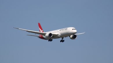 Πτήση-της-qantas-καθηλώθηκε-στη-Ρώμη-λόγω…-κοριών