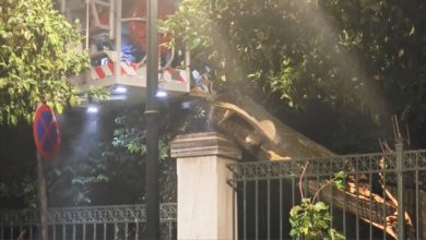 Έπεσε-μεγάλο-δέντρο-κοντά-στο-Μέγαρο-Μαξίμου,-δείτε-βίντεο-από-το-σημείο