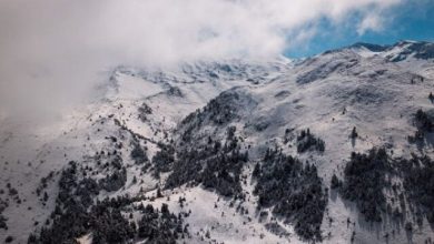 Στα-λευκά-ο-Παρνασσός:-Εντυπωσιακές-εικόνες-από-τις-χιονισμένες-πλαγιές-του-βουνού