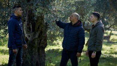 protoulis:-Τέσσερις-γενιές-ελαιόλαδο-από-τη-Λέσβο-στις-διεθνείς-αγορές