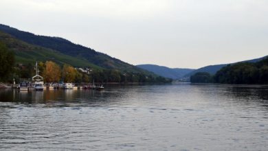Μία-σύλληψη-για-τη-διαμελισμένη-σορό-που-βρέθηκε-στον-Ρήνο